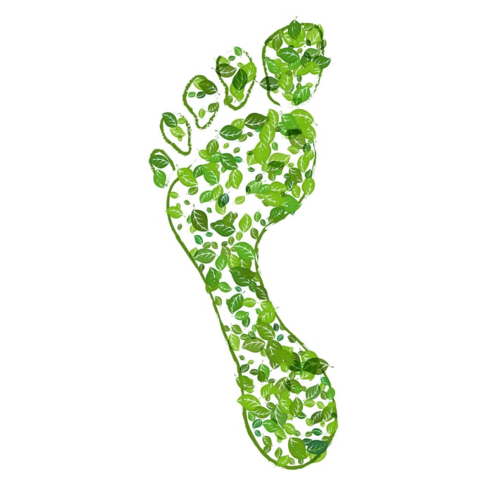 eco green footprint