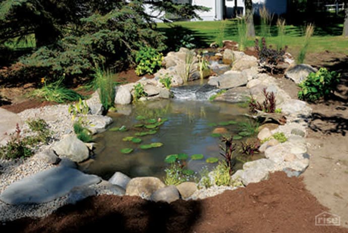 backyard garden pond