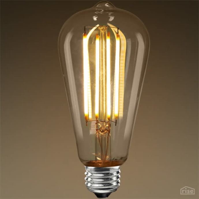 Edison Bulbs meet LEDs