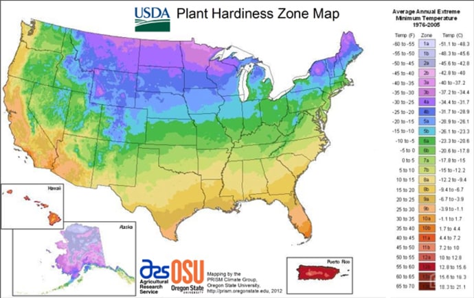 plant hardiness map
