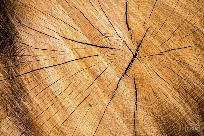 roundwood timber