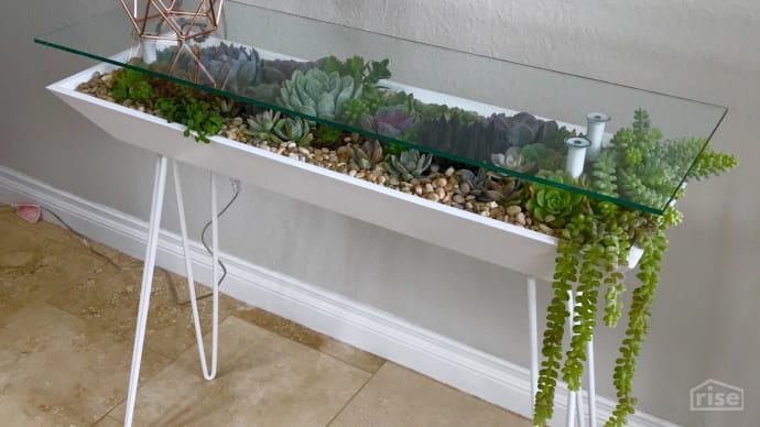 succulents table