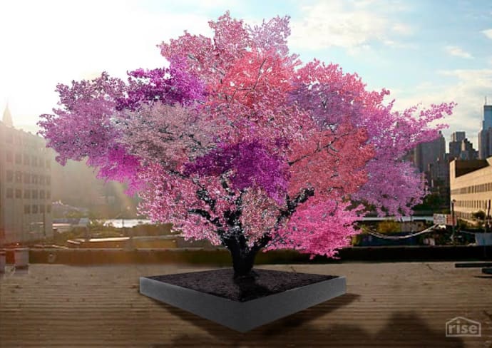 tree of 40 fruits