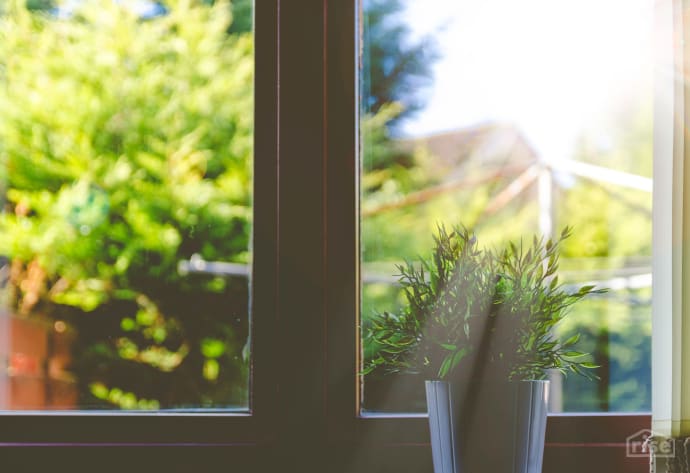 window with plant