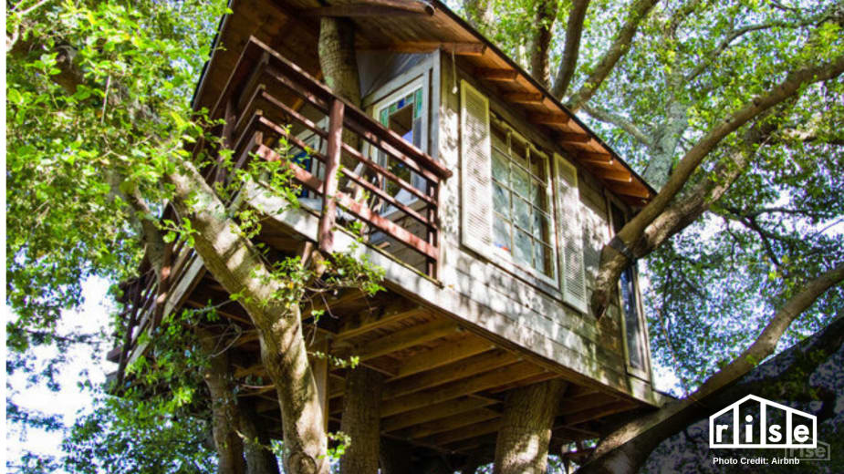 Airbnb Tree House