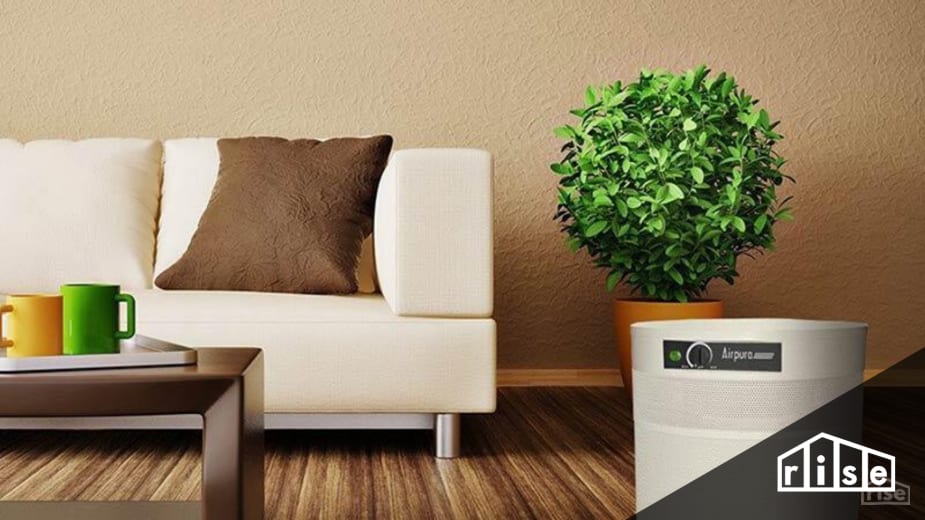 The 5 Best Air Purifiers