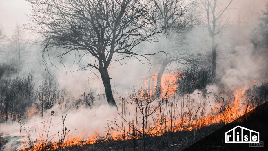 Tips to Protect Your Home From Wildfires