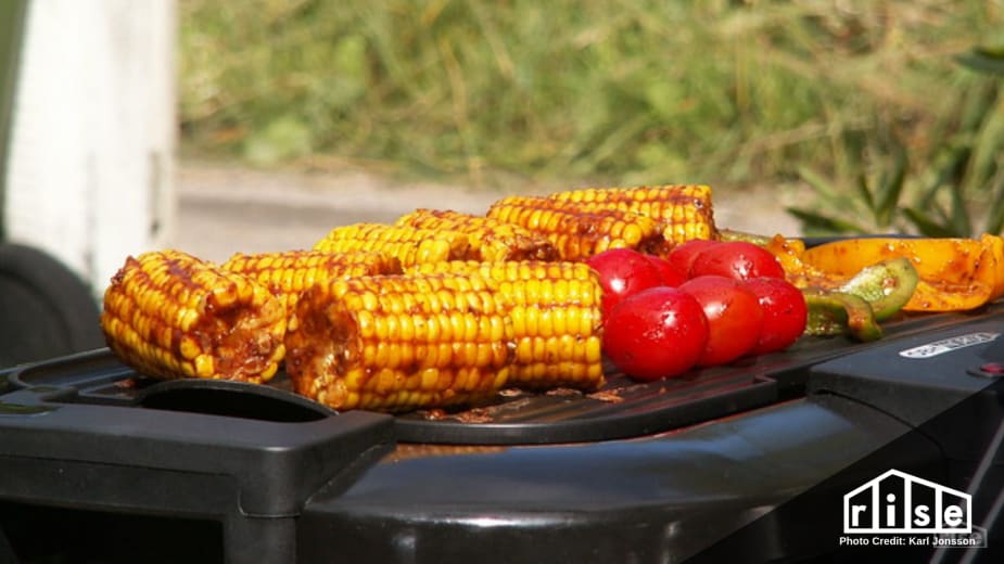 Electric barbeque grills hot sale