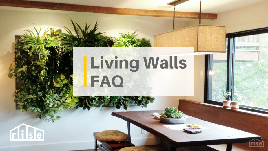 living walls in your home