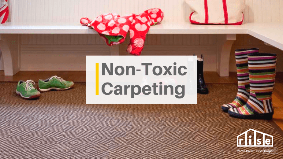 Best carpets on the market deals