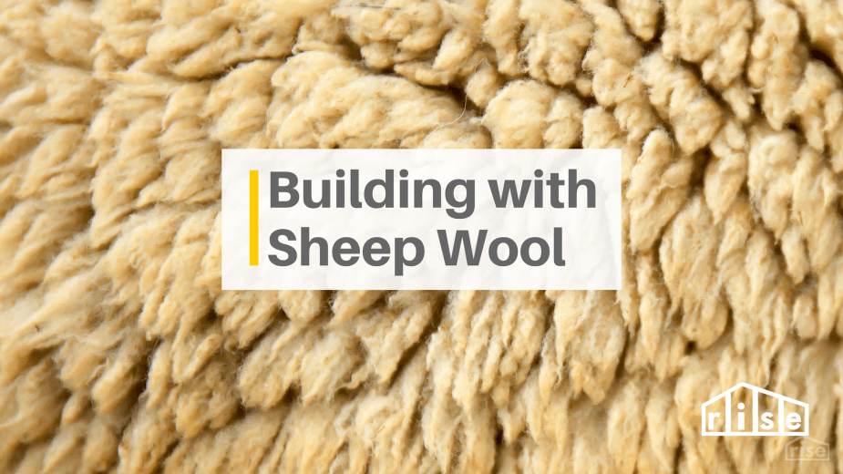 sheep wool insulation carpeting mattresses