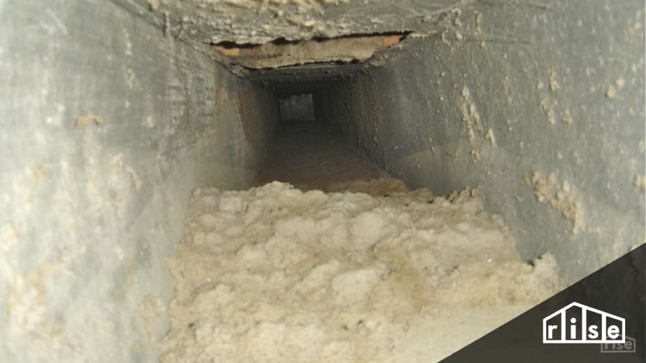 Here's What's Hiding in Your Forced Air Ductwork