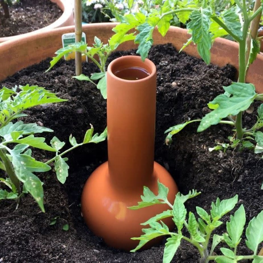 Garden irrigation - olla pots in place. — Steemit