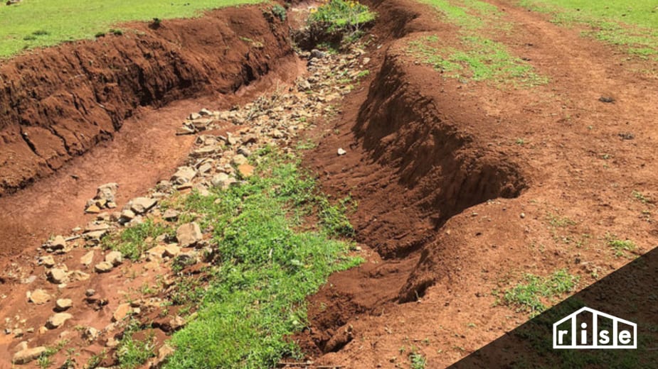 Build a rain garden to reduce erosion