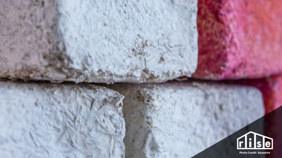 Mycelium Fungi as a Building Material