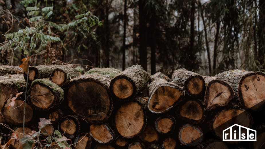 Wood Certification Programs and Sustainable Forestry