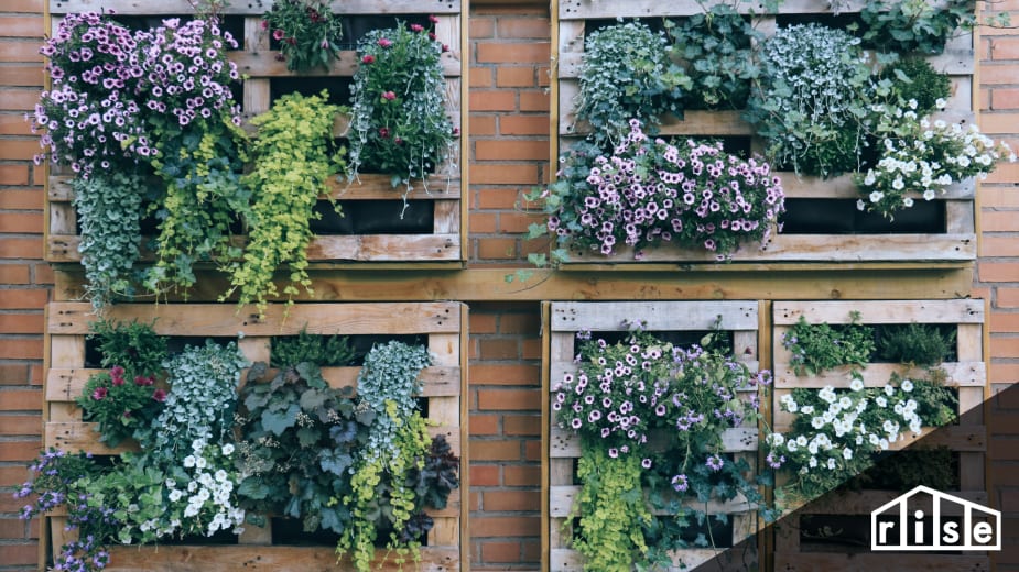 Vertical Gardening At Home What You Need To Know