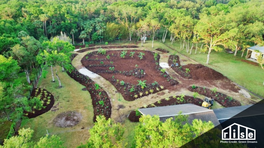 Turning Your Backyard Into a Food Forest