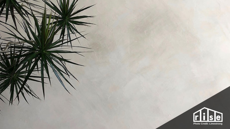 Natural Earthen and Mineral Plasters for Interior and Exterior Walls