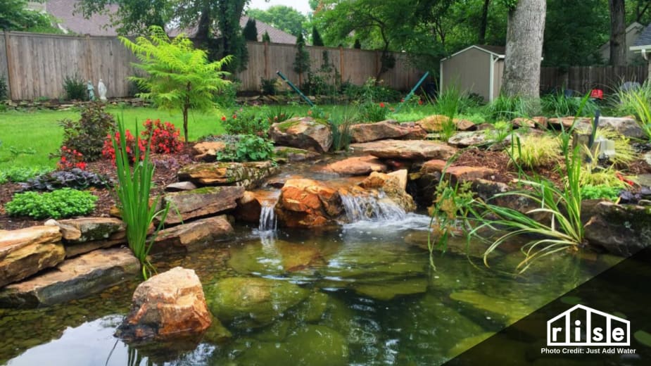 7 Ecological Benefits of Incorporating a Pond in your Yard