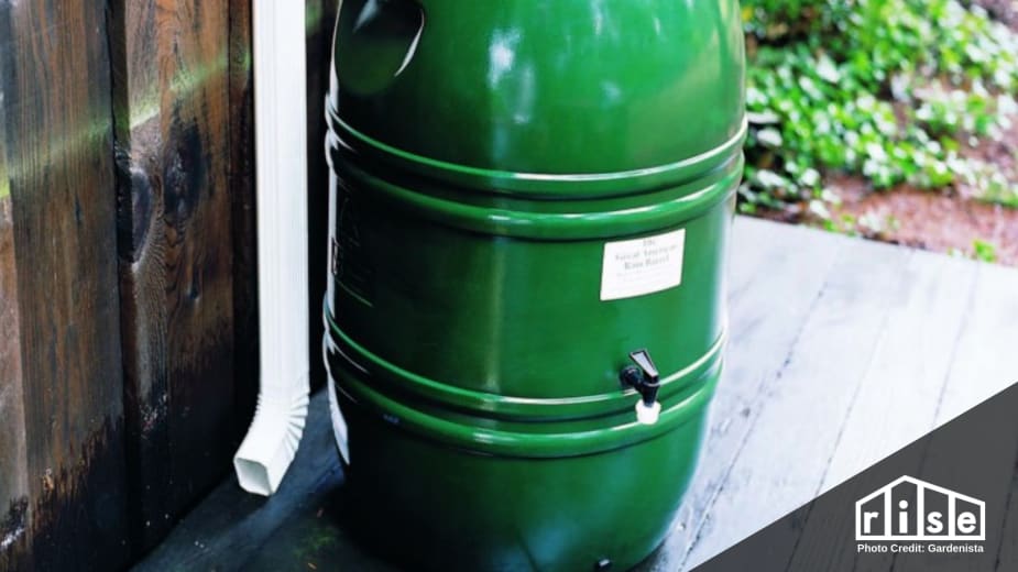 How to Collect Rainwater