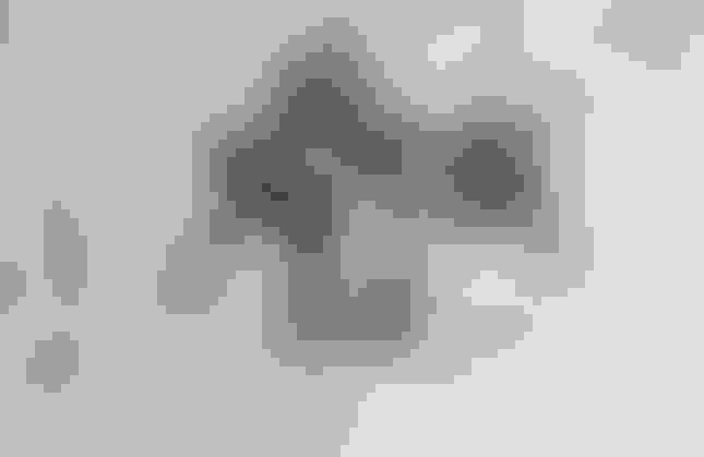 sustainable wallpaper where healthy