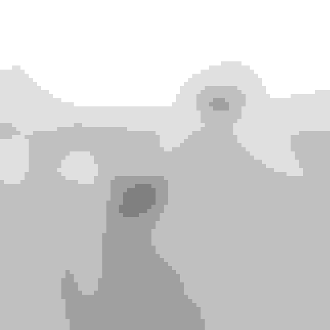 Shower Water Filters A Complete Guide