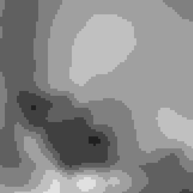 Sustainable Wallpaper Where Healthy Beautiful Wallcoverings Meet