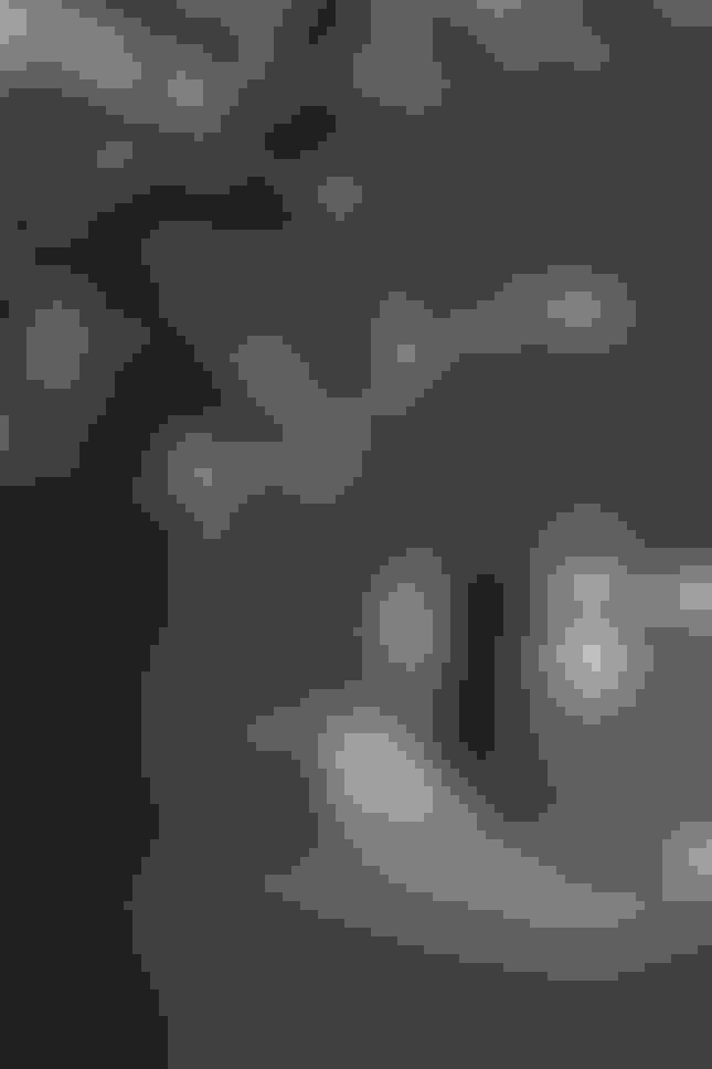 A Sustainable ADU Provides a Family with an AtHome Getaway