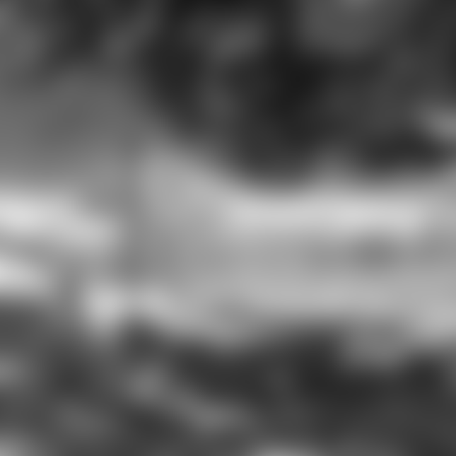 The Runges' EarthBlock EcoRanch