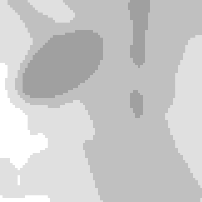 Shower Water Filters A Complete Guide