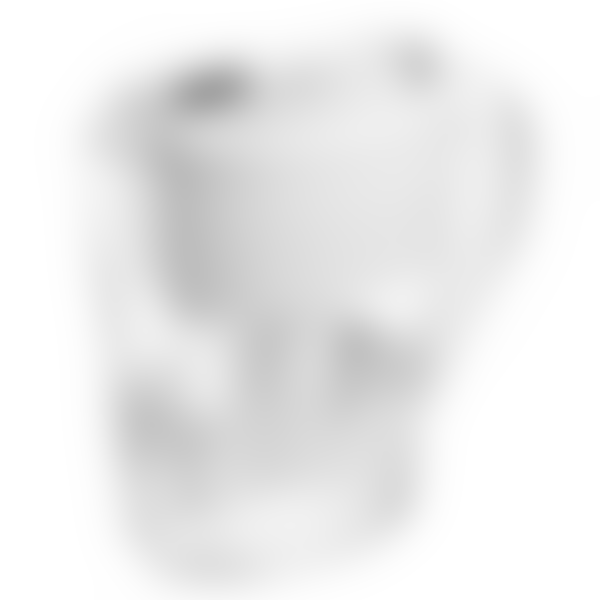 brita water pitcher