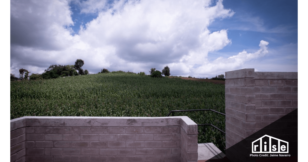 Compressed Earth Blocks for Residential Walls