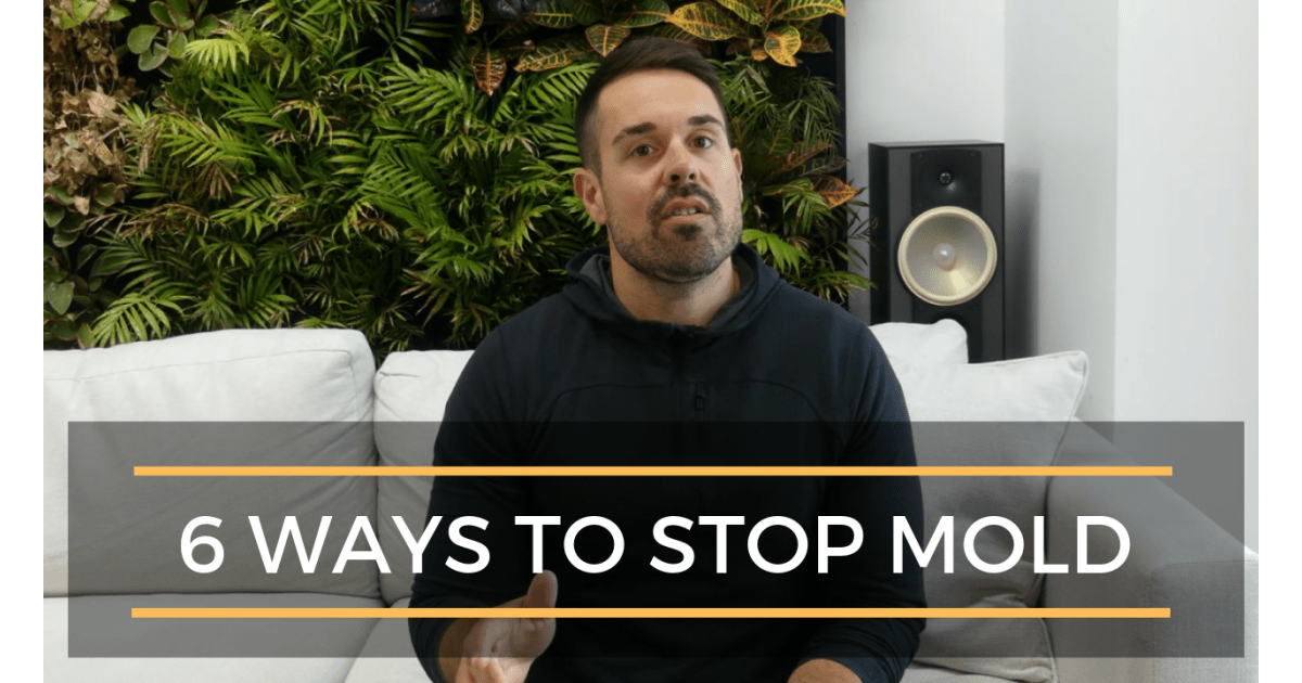 6 Ways to Stop Mold From Growing In Your Home