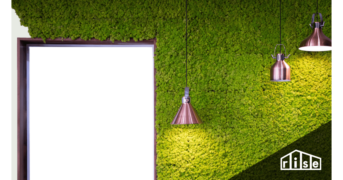 Moss Walls The Ultimate Guide