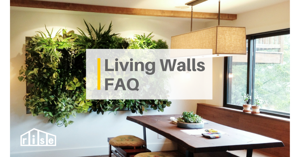 Living Walls at Home The Complete Guide