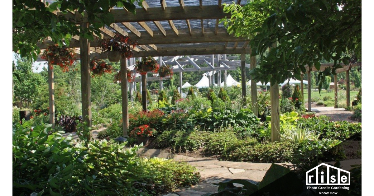 Sun Requirements For Plants A Complete Guide