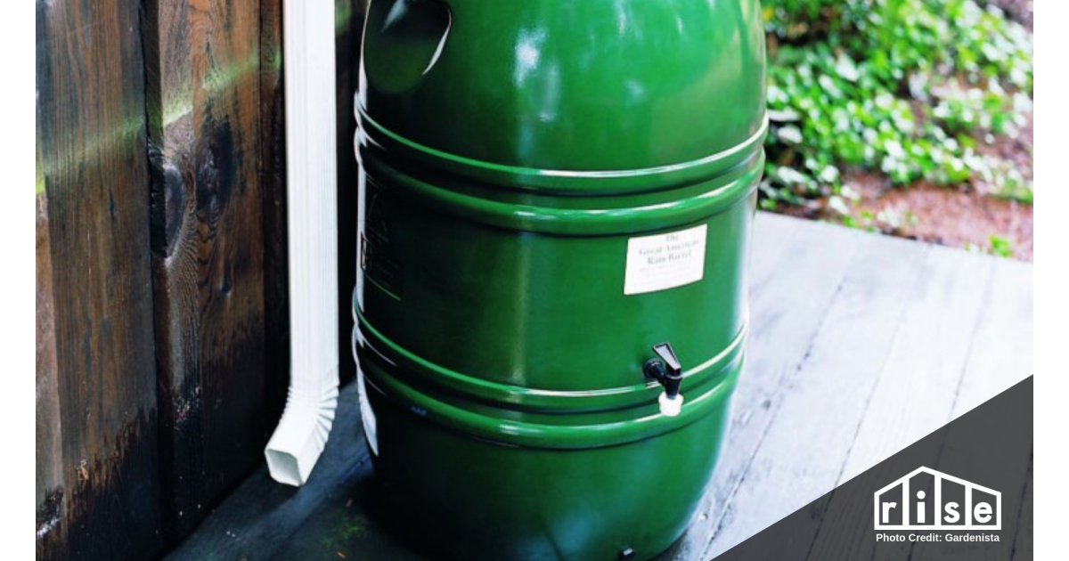 How to Collect Rainwater