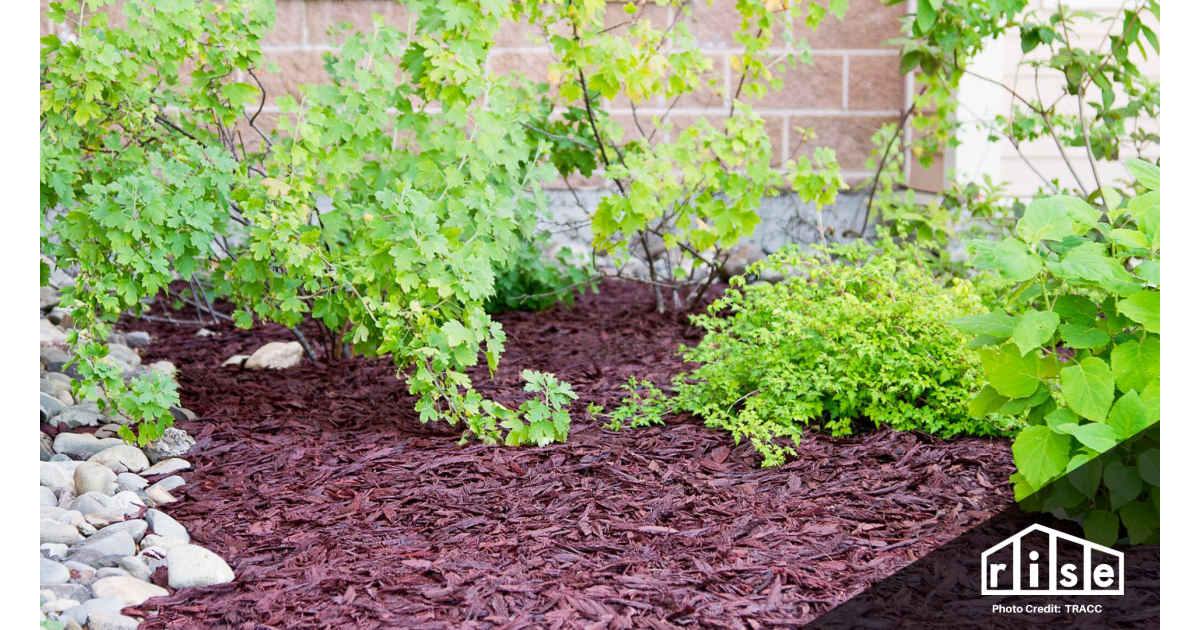 Recycled Rubber Mulch vs. Wood Mulch Pros and Cons