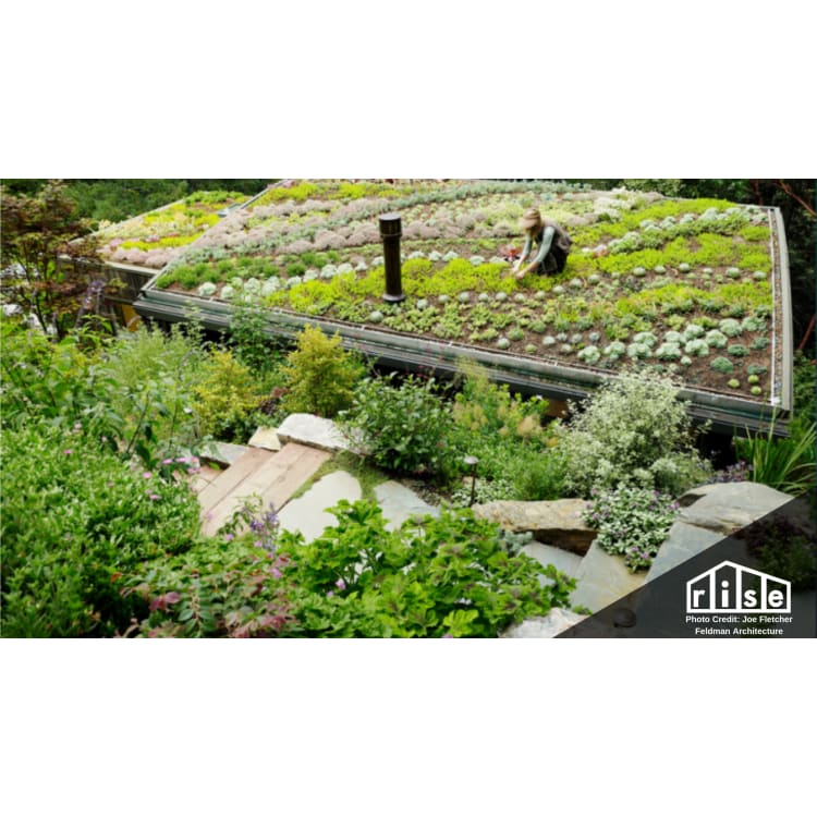 Green Roof Systems - Green Roof Outfitters