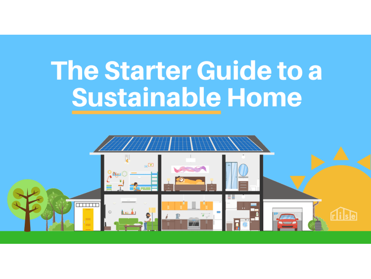 Here Are the Most Highly Rated Sustainable Home Products on