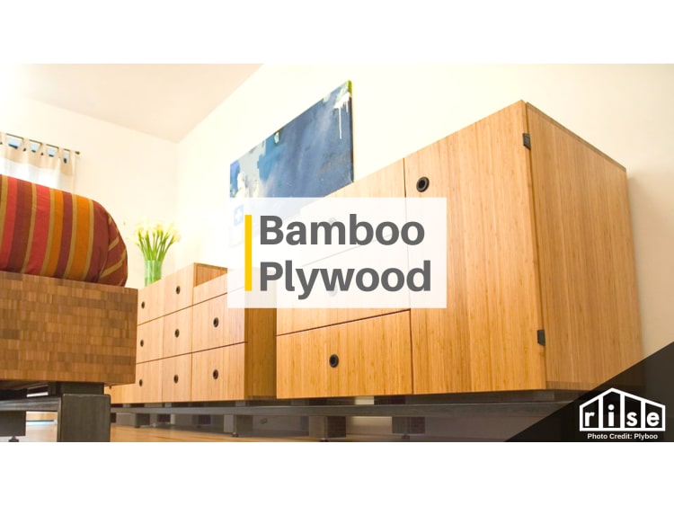 https://images.buildwithrise.com/image/upload/c_pad,q_auto,f_auto,w_750,ar_4:3,b_white/article_media/bamboo_plywood_zafyfp