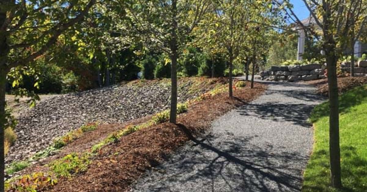 Daelin Spry’s Rise: From Backyard Kickoffs to Pro Prodigy Status